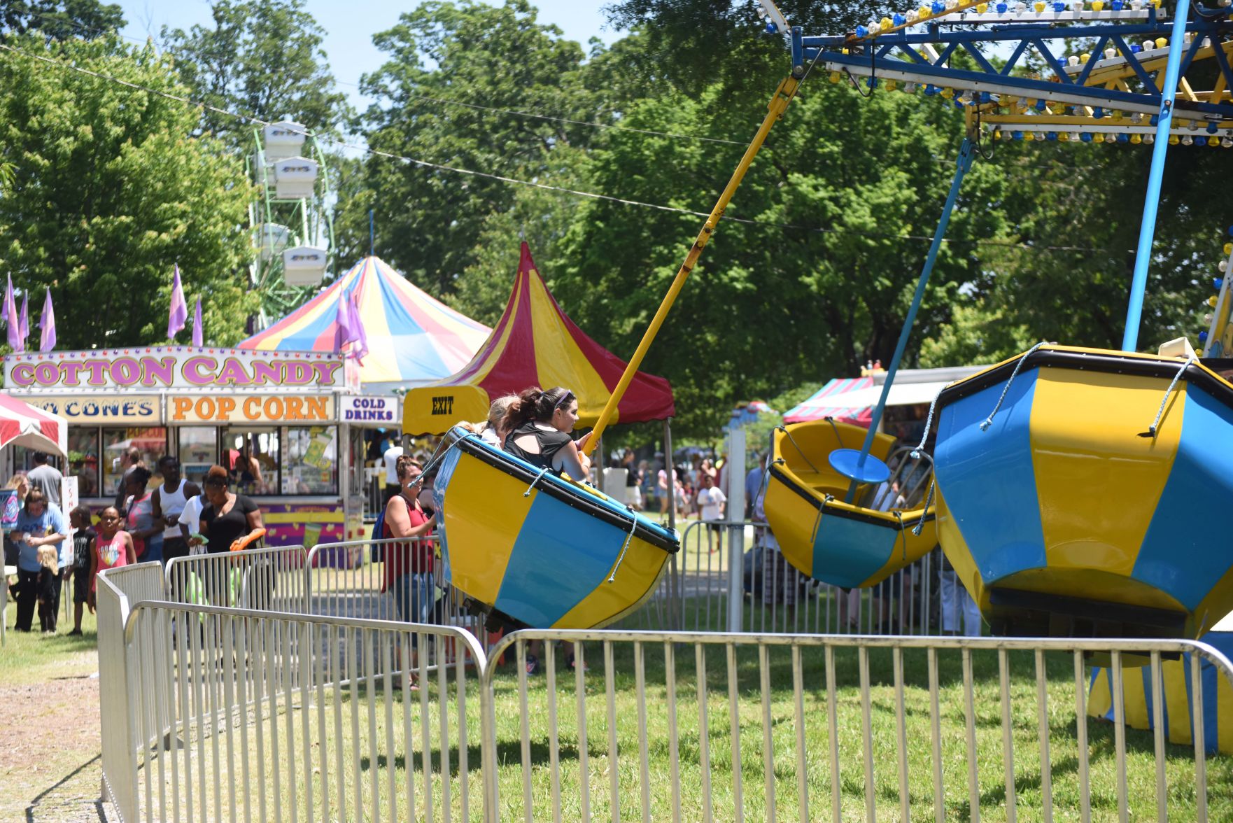 Festival in the Park